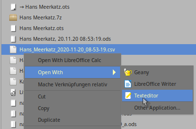 1. Öffnen der .csv-Datei.png