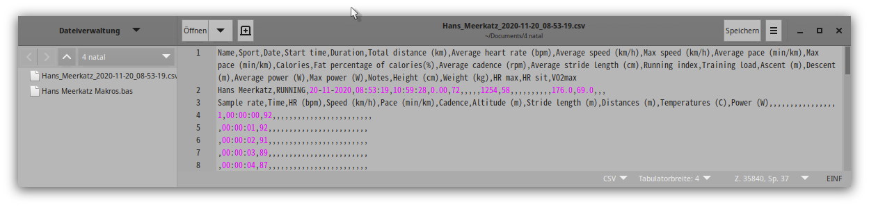 2. Ansicht der .csv-Datei.png
