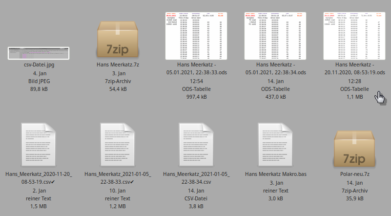 17. Arbeitsverzeichnis mit neuer .ods- und ''abgehakter'' .csv-Datei.png
