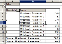 Datenpilot_Tabelle.png