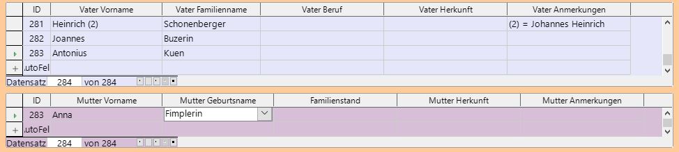 Formular_mit5Grids.JPG