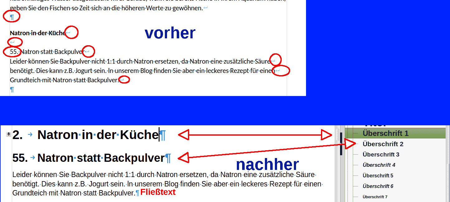 Natron_Formatvorlagen.png