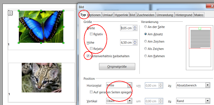 Bild an Rand fixieren.png