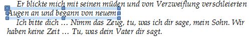 So sieht die ausgewählte Text aus