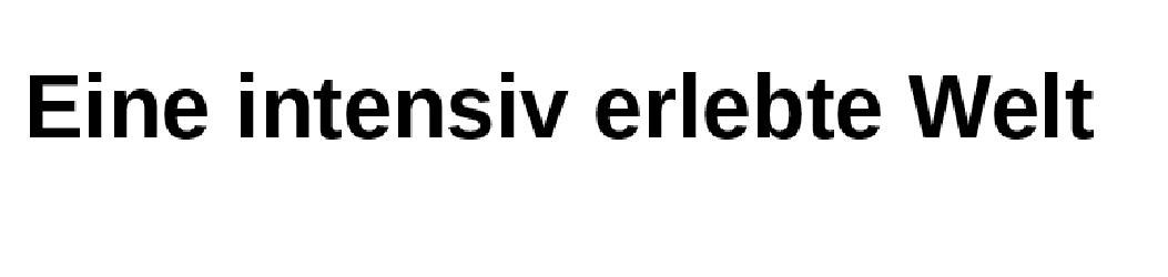 präsentationsmodus.PNG