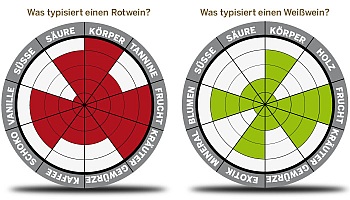 geschmacksnetze2.jpg